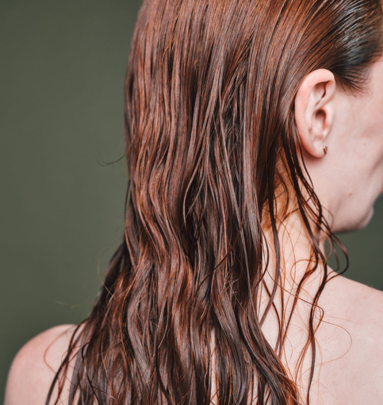 back of womans head, wet hair